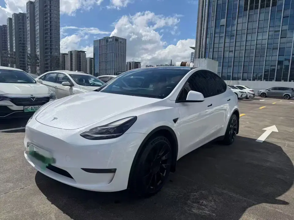 Tesla Model Y Model Long Range AWD 2021