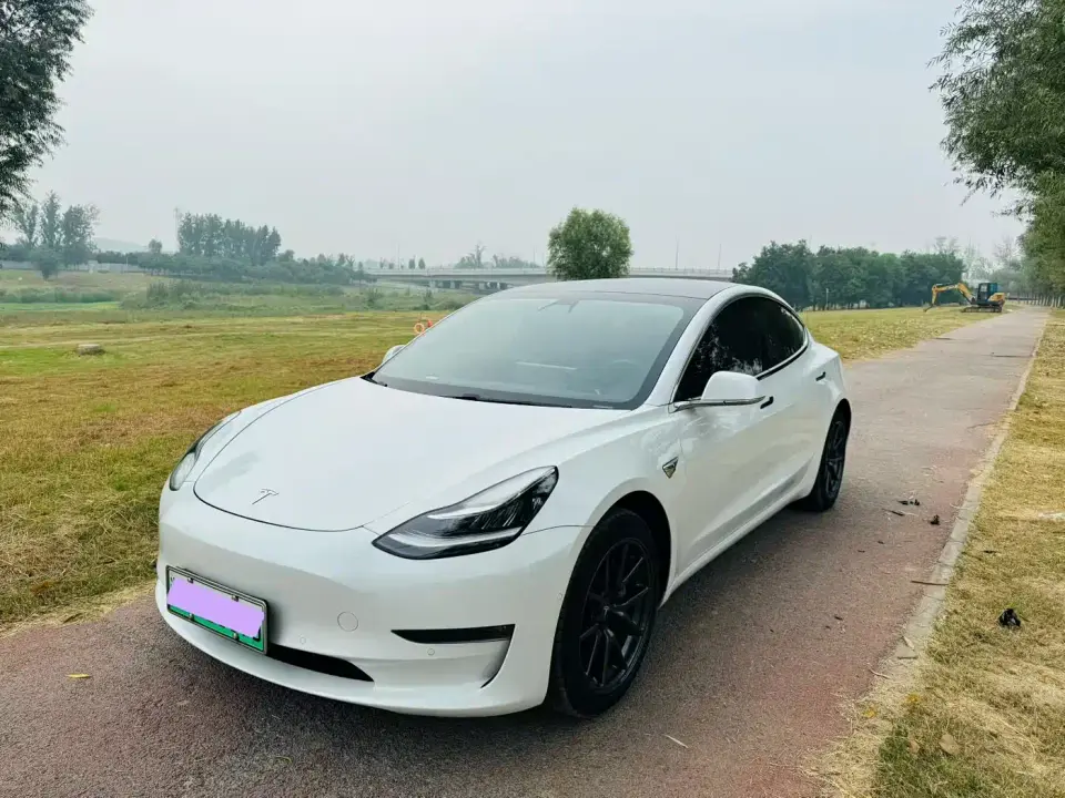 Tesla Model 3 Long Range Rear-Wheel Drive 2020