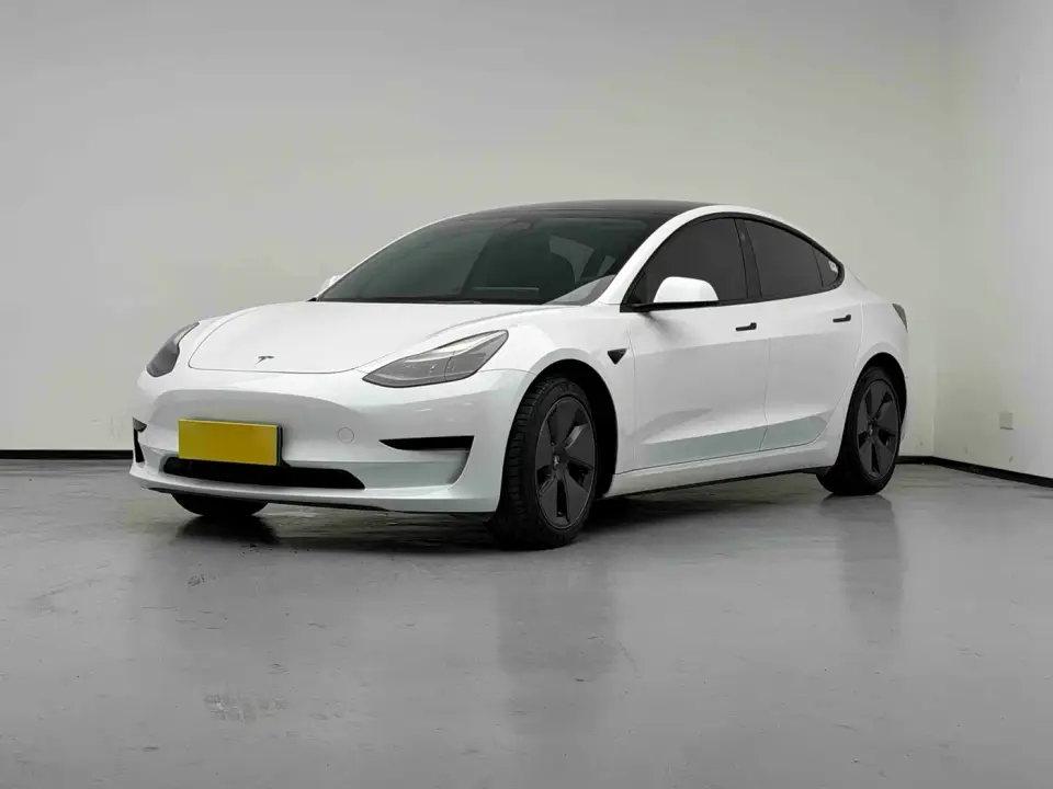 Tesla Model 3 Model Rear-Wheel Drive Version 2022