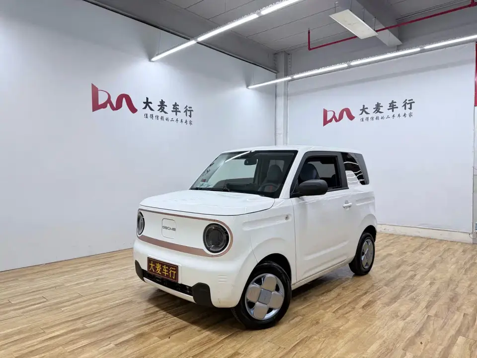 Geely Galaxy Panda Panda Mini 200km Endurance Bear 2023