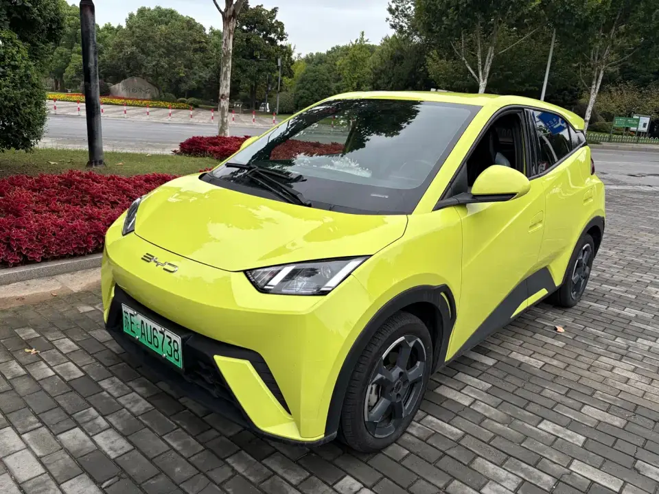 BYD Seagull Flying Edition 2024
