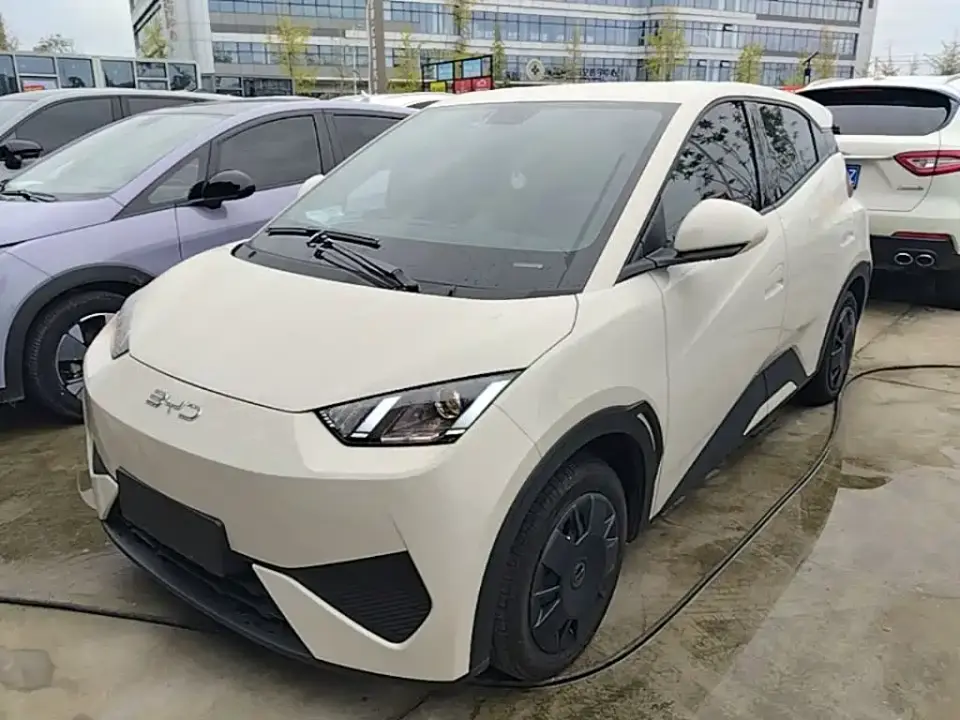 BYD Seagull Smart Drive Edition 305km Vitality Version 2025