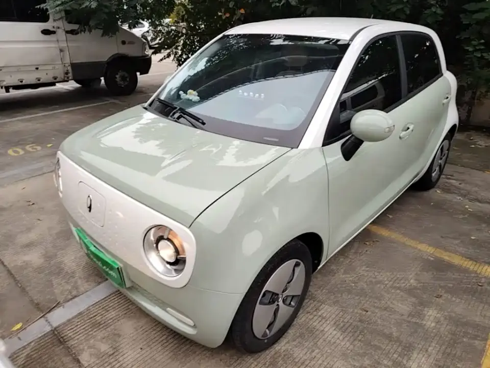 ORA Black Cat Facelift 301km Pet Edition LFP Version 2022