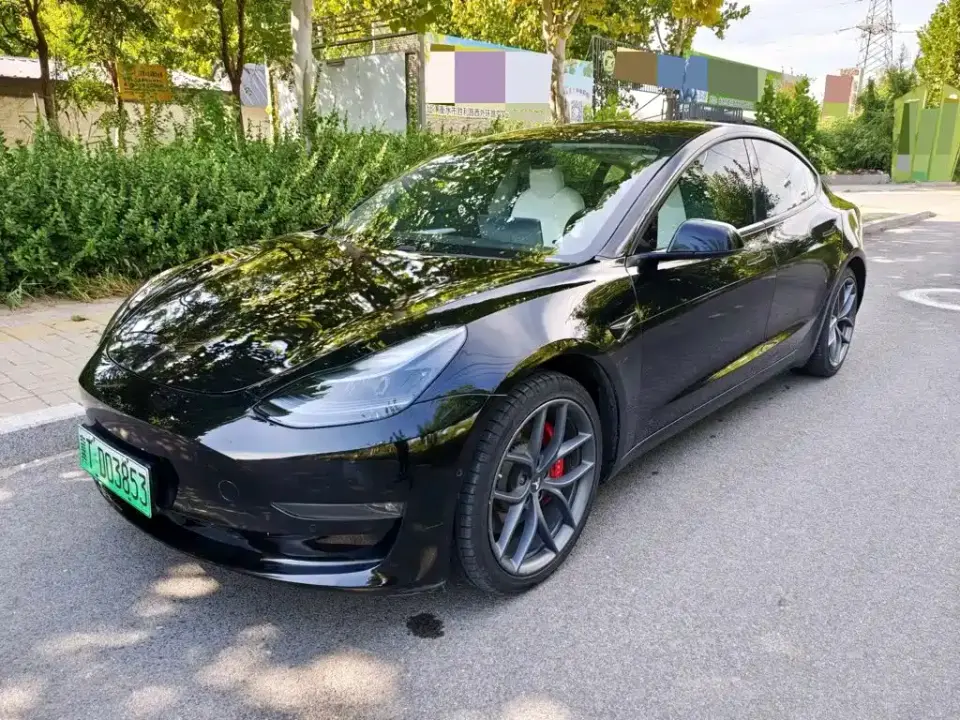 Tesla Model 3 Performance High-Performance All-Wheel Drive 2021