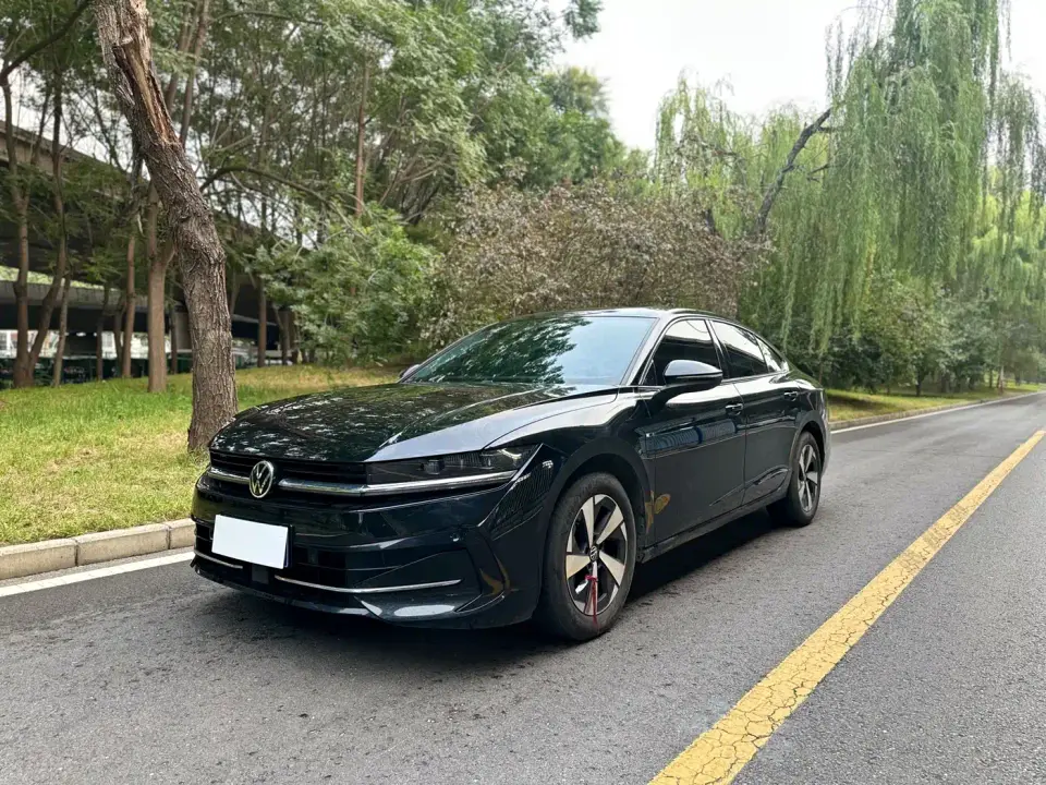 Volkswagen Magotan 380TSI DSG Premium Edition 2024