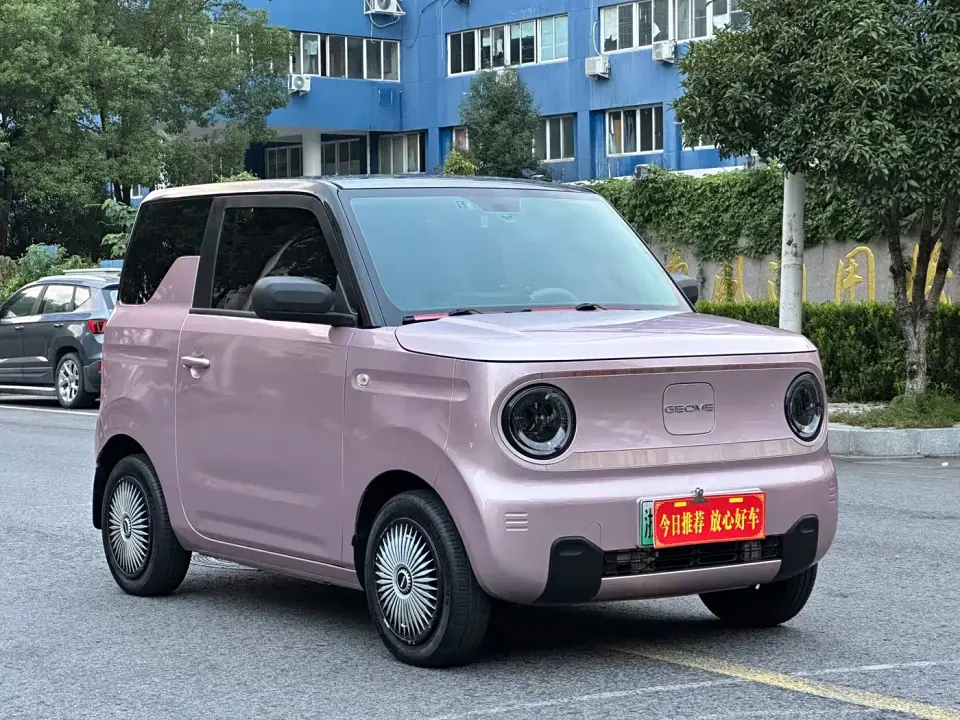 Geely Galaxy Panda Panda Mini 200km Endurance Bear 2024