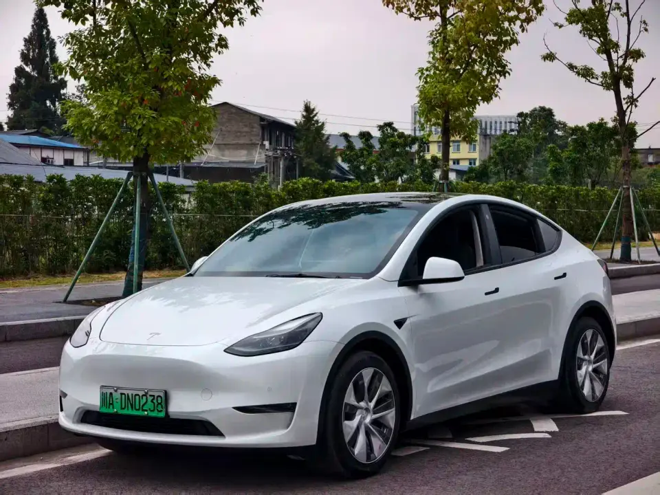 Tesla Model Y Standard Range Rear-Wheel Drive 2021
