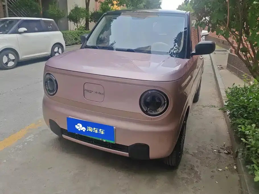 Geely Galaxy Panda Panda mini 200km Endurance Bear 2024