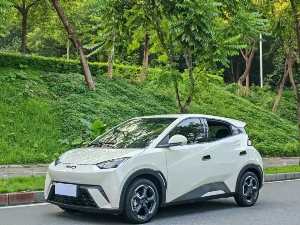 BYD Seagull Glory Edition 405km Soaring Edition 2024