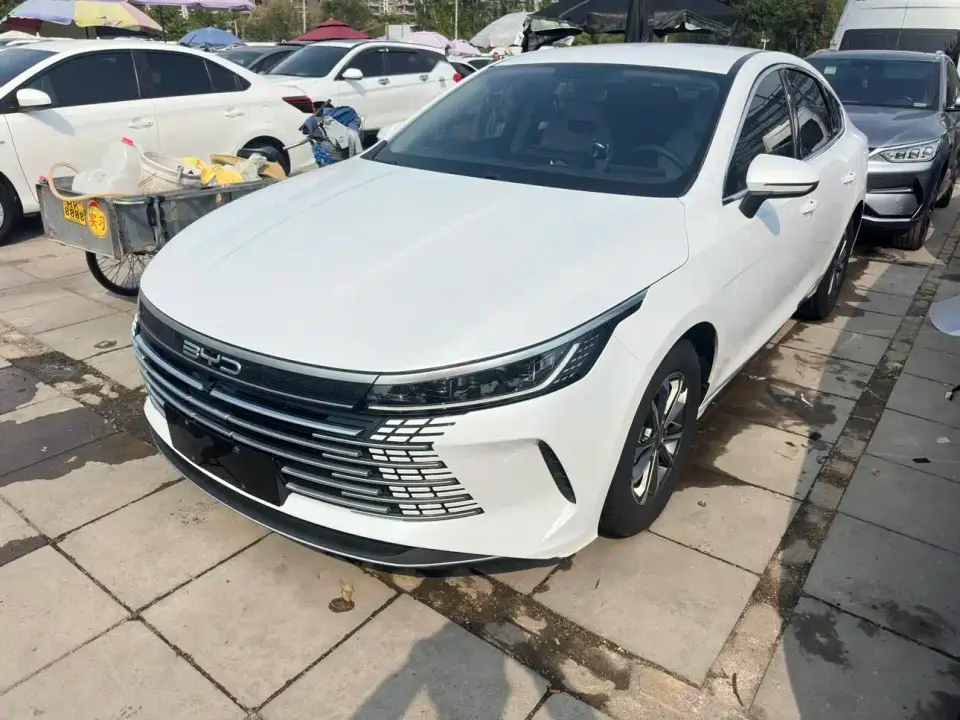 BYD Destroyer 05 Glory Edition DM-i 55KM Luxury 2024