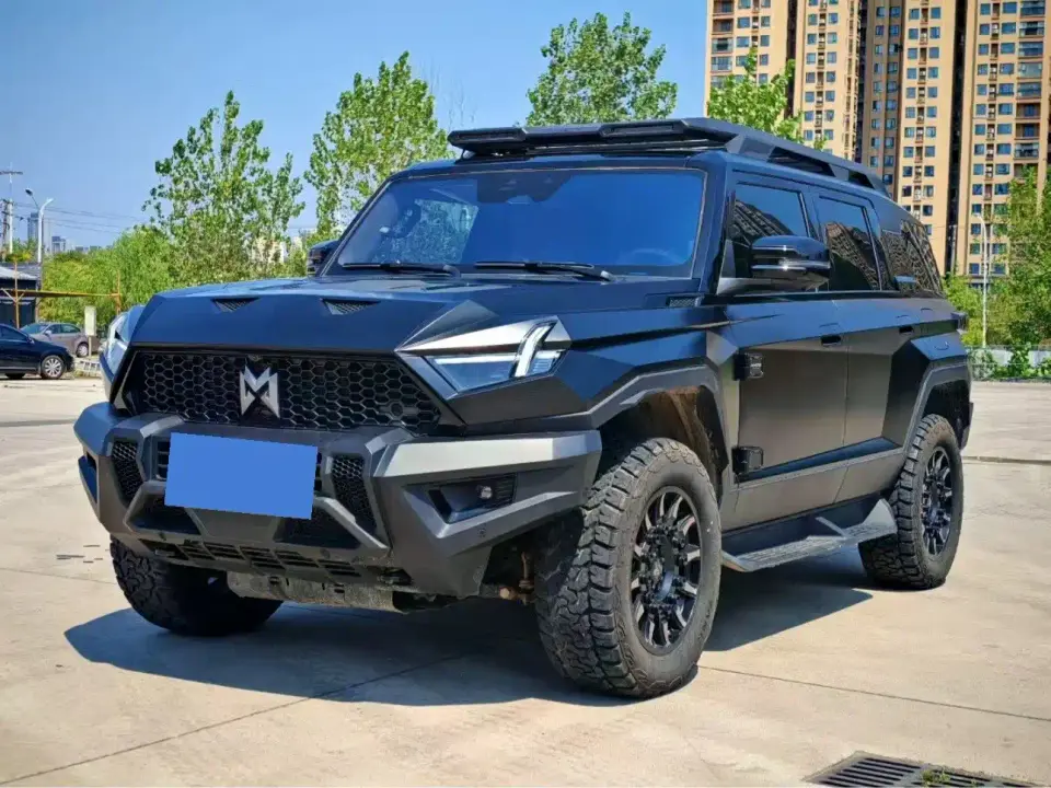 Mengshi 917 Extended Range Base Version 2025