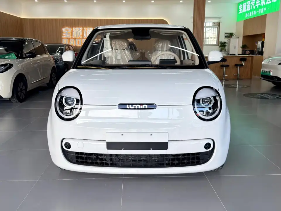 Changan Qiyuan Changan Lumin Model 205km Treasure Edition 2026