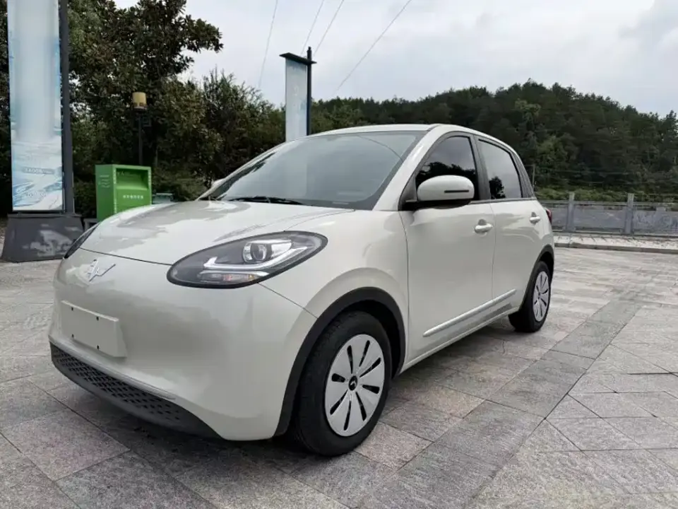 Wuling Motors Wuling Bingo Model 203km Lite Enjoyment Edition 2023