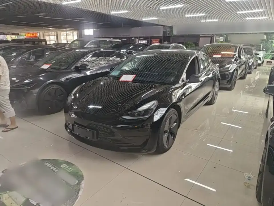 Tesla Model 3 Model Rear-Wheel Drive Version 2022