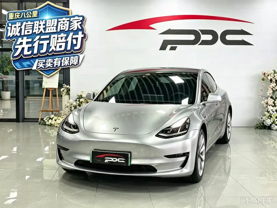 Tesla Model 3 Standard Range Rear-Wheel Drive Upgrade 2020