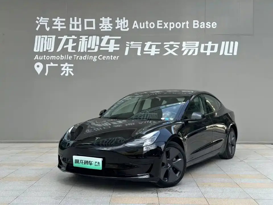 Tesla Model 3 Model Rear-Wheel Drive Version 2023