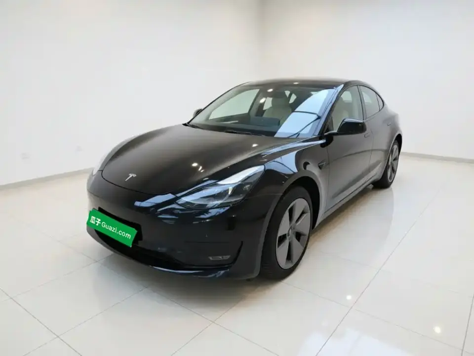 Tesla Model 3 Model Rear-Wheel Drive Version 2022