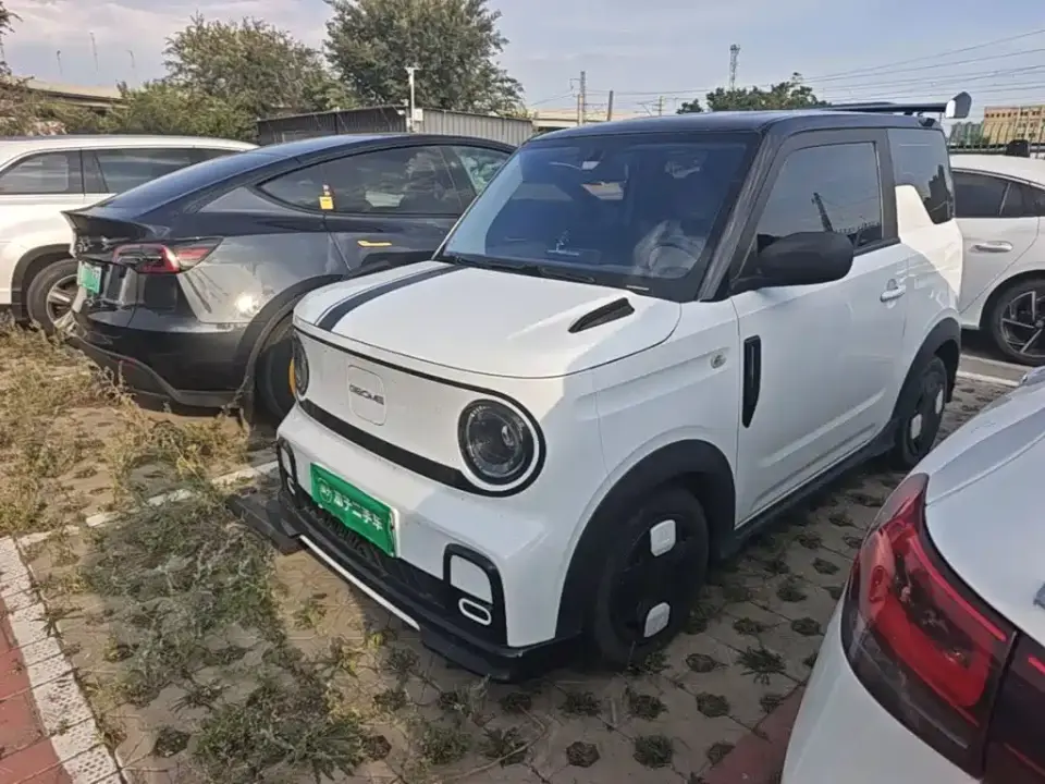 Geely Galaxy Panda Model Year 210km Panda Kart 2024