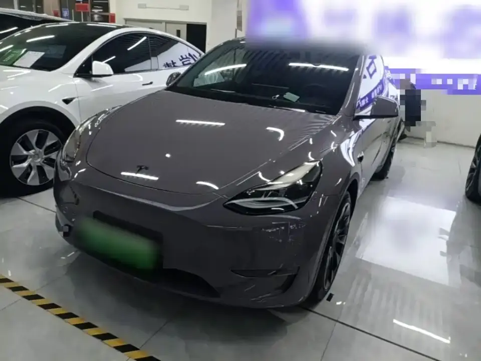 Tesla Model Y Model Long Range AWD 2021