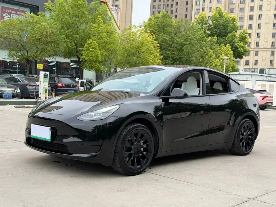Tesla Model Y Rear-Wheel Drive Version 2022