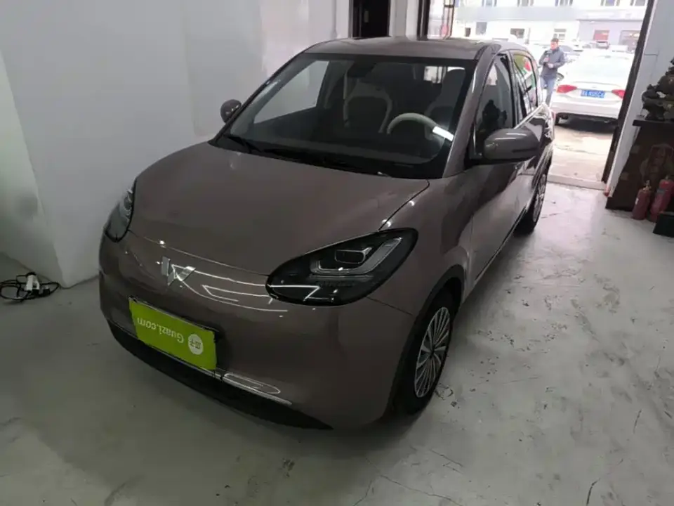 Wuling Motors Wuling Bingo 203km Comfort Version 2023