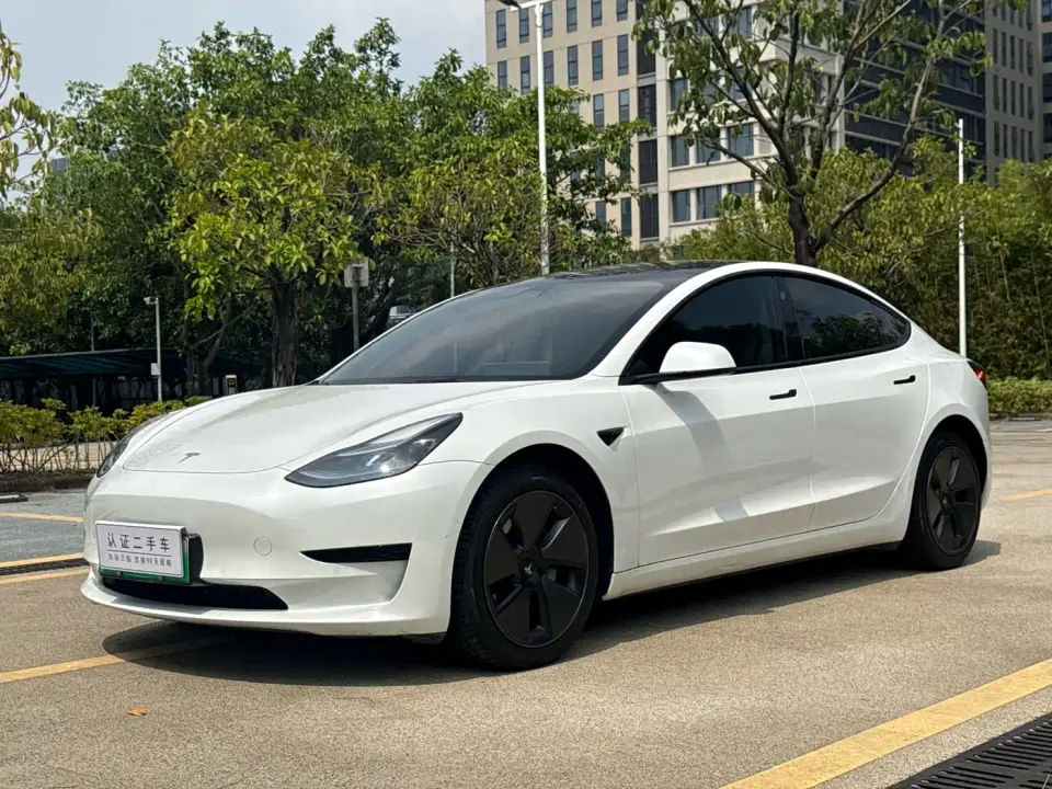 Tesla Model 3 Model Rear-Wheel Drive Version 2022