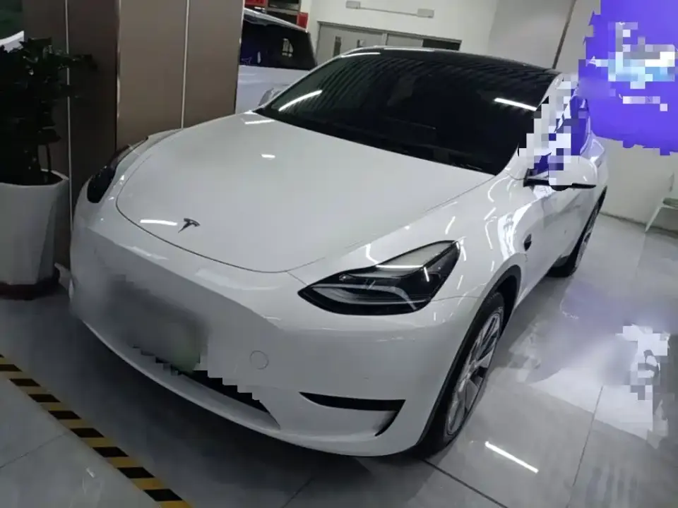 Tesla Model Y Rear-Wheel Drive Version 2022