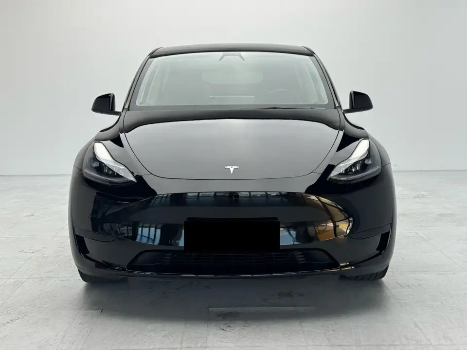 Tesla Model Y Rear-Wheel Drive Version 2022