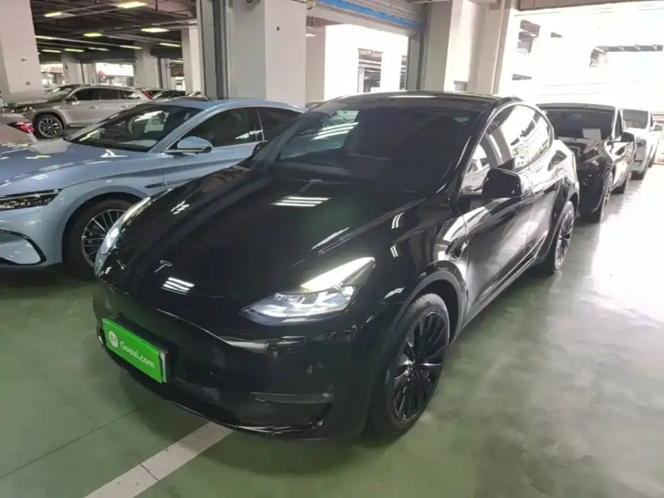 Tesla Model Y Model Long Range AWD 2021