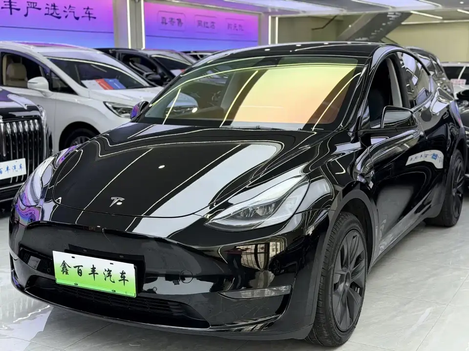 Tesla Model Y Long Range All-Wheel Drive Edition 2024