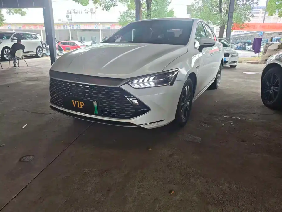 BYD Qin PLUS Champion Edition DM-i 55KM Leading 2023