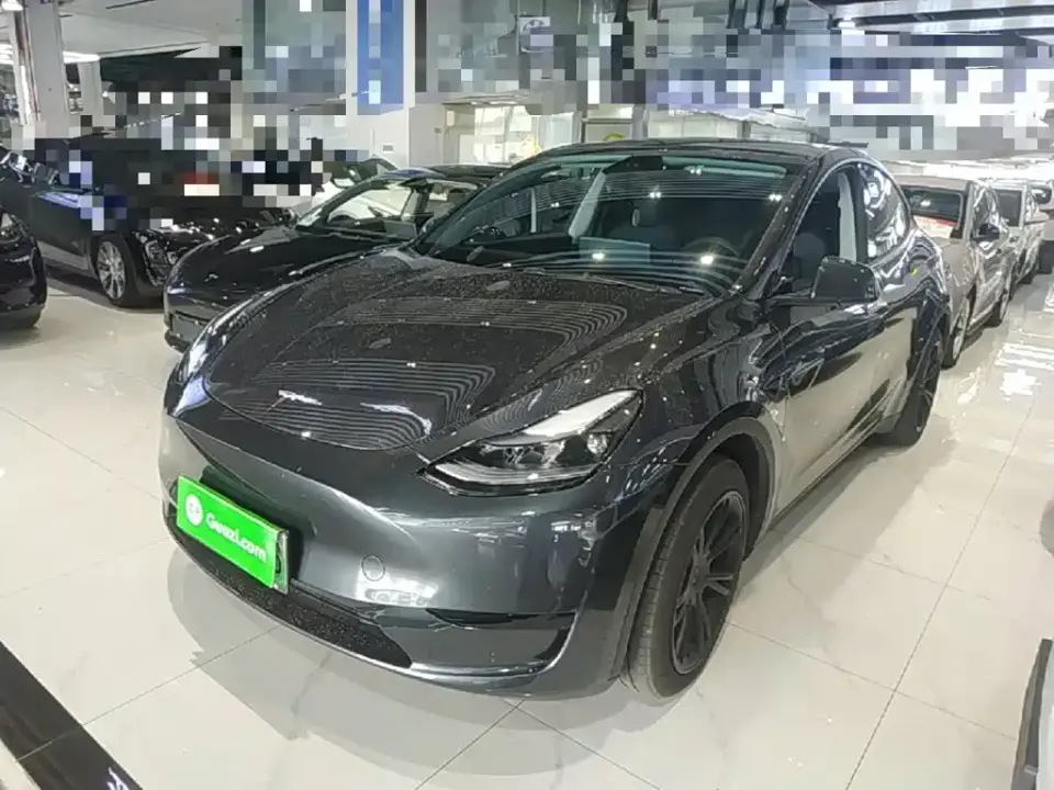 Tesla Model Y Rear-Wheel Drive Version 2024
