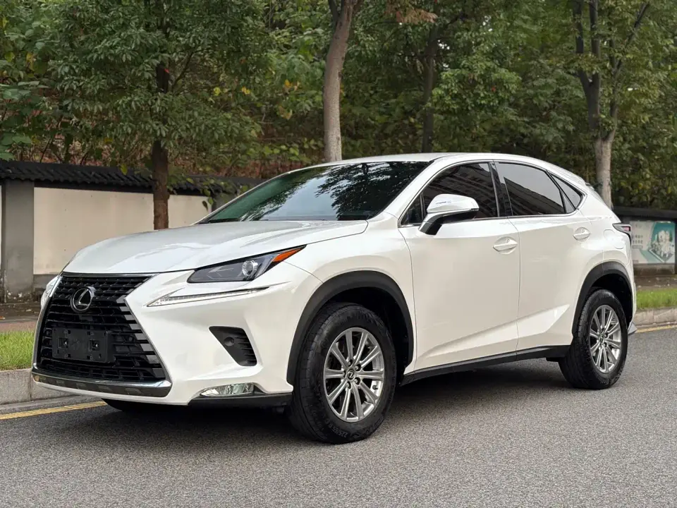 Lexus NX Model 300 FWD Fengxing Edition 2019