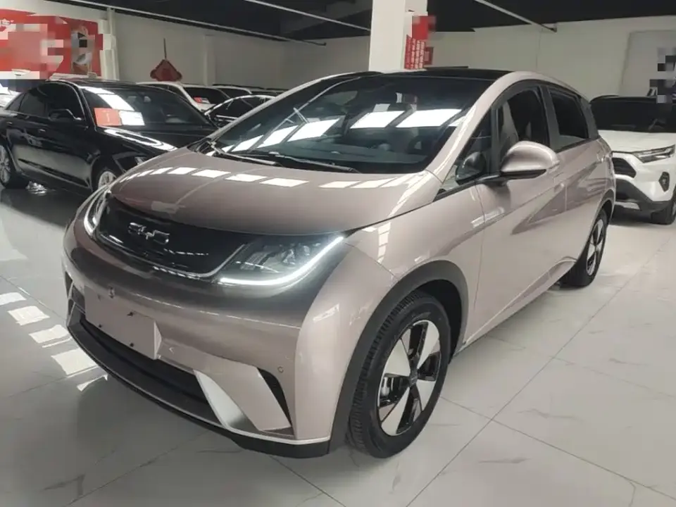 BYD Dolphin 420km Fashion Edition 2023