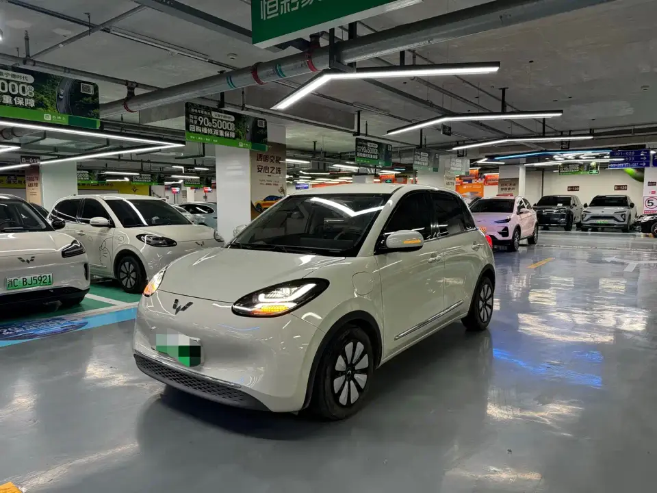 Wuling Motors Wuling Bingo Model 333km Joy+ Version 2023