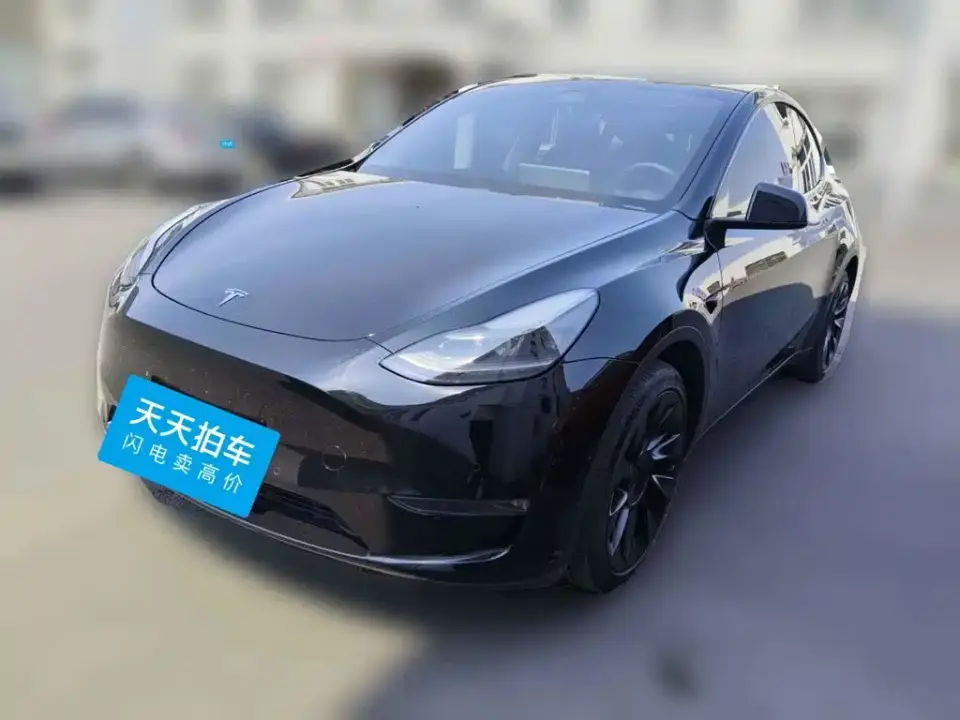 Tesla Model Y Model Long Range AWD 2021