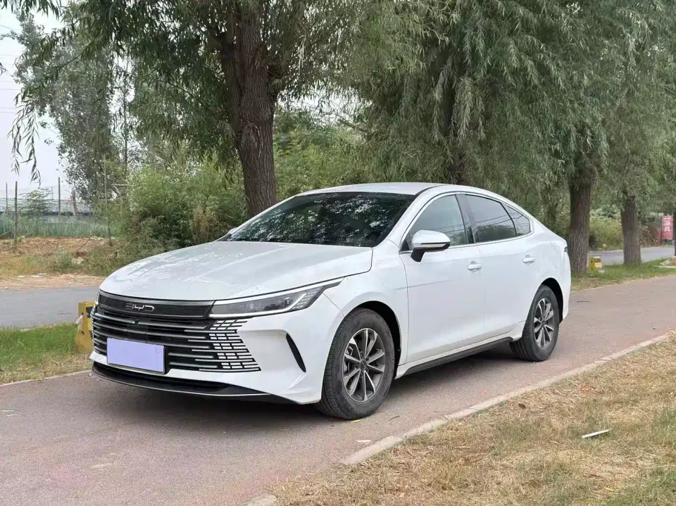 BYD Destroyer 05 Champion Edition DM-i 55KM Luxury 2024