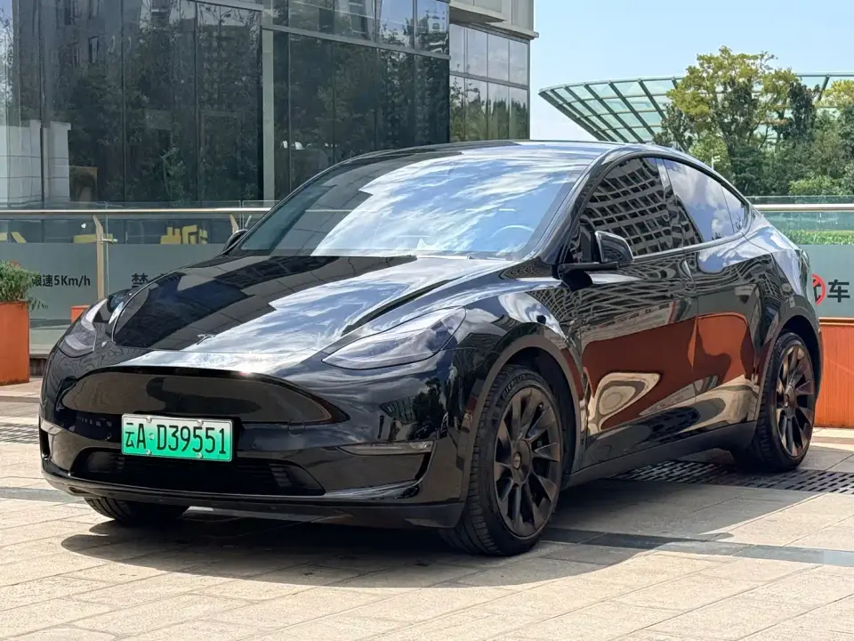 Tesla Model Y Standard Range Rear-Wheel Drive 2021