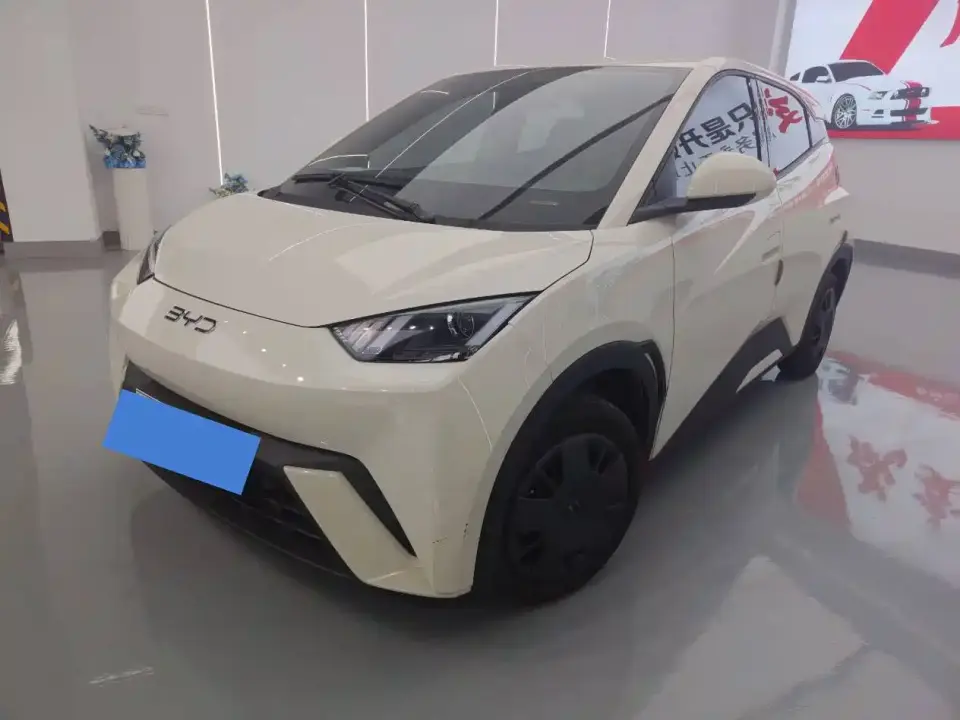 BYD Seagull 305km Vitality 2025