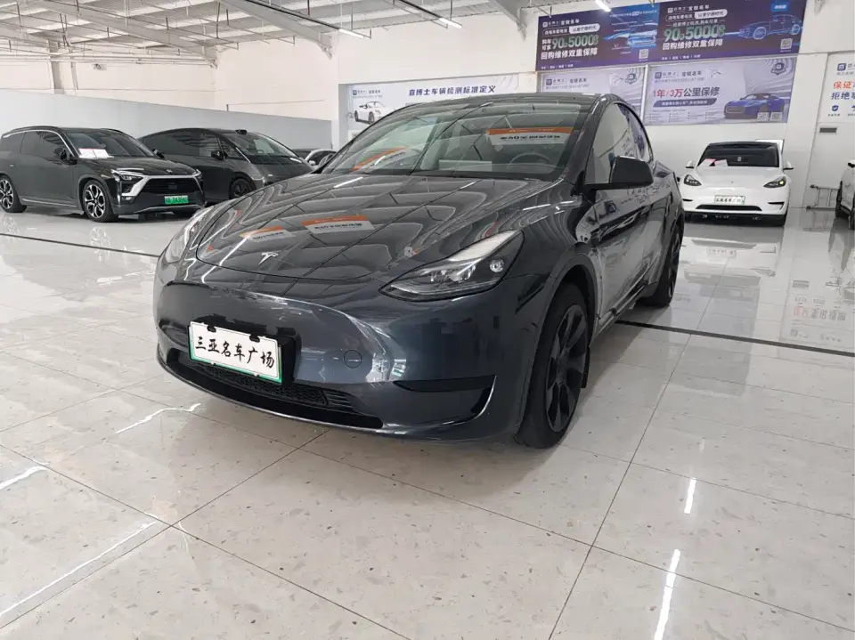 Tesla Model Y Rear-Wheel Drive Version 2024
