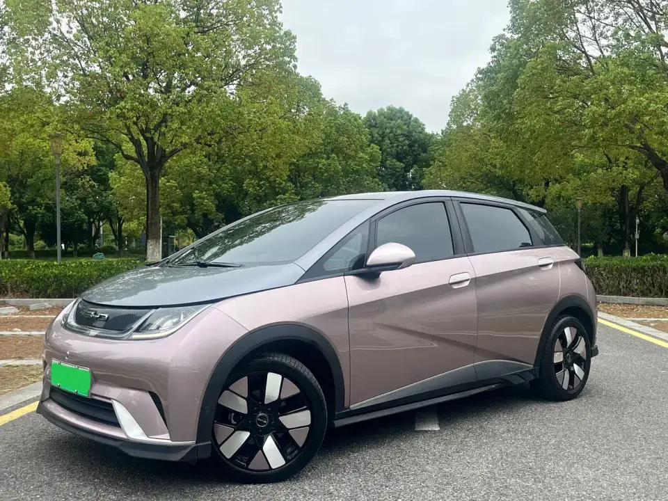 BYD Dolphin 401km Knight Edition 2022