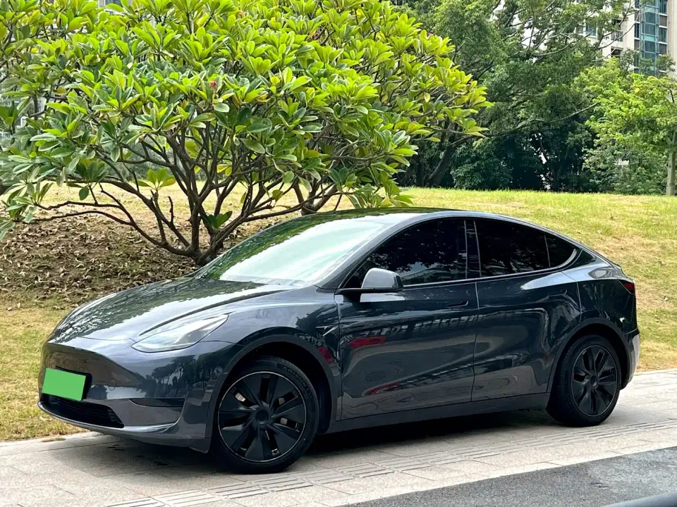 Tesla Model Y Rear-Wheel Drive Version 2024