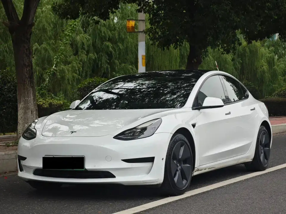 Tesla Model 3 Standard Range Rear-Wheel Drive Upgrade 3D6 2021