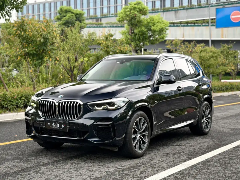 BMW X5 (Import) Facelift xDrive30i M Sport Package 2021