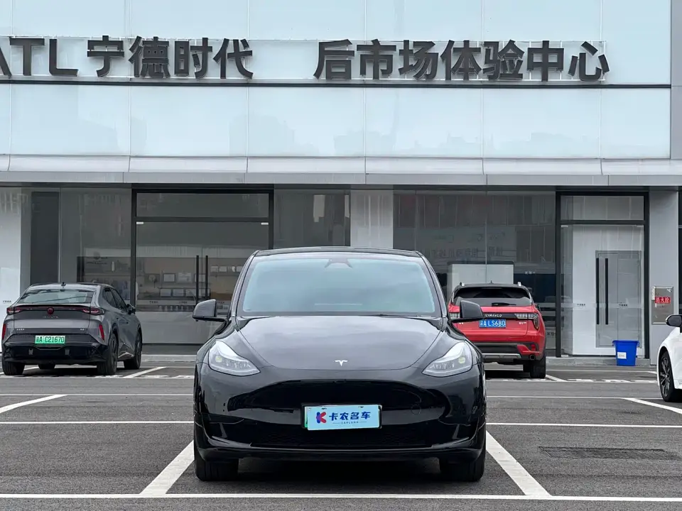 Tesla Model Y Rear-Wheel Drive Version 2025