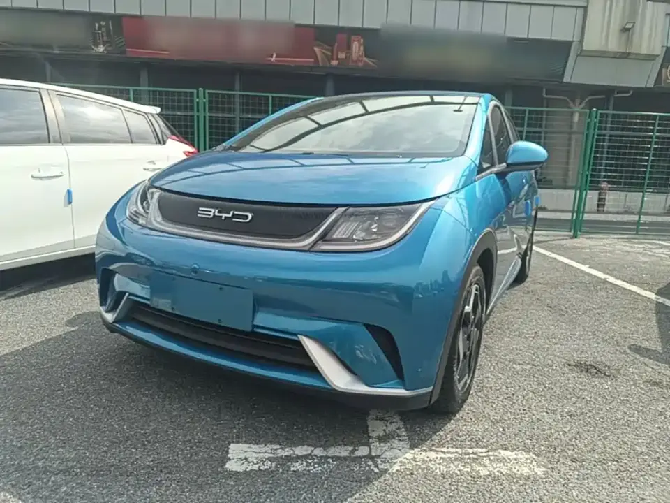 BYD Dolphin Model 405km Fashion Edition 2022