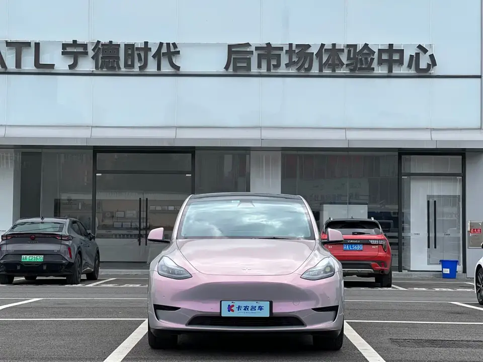 Tesla Model Y Rear-Wheel Drive Version 2022