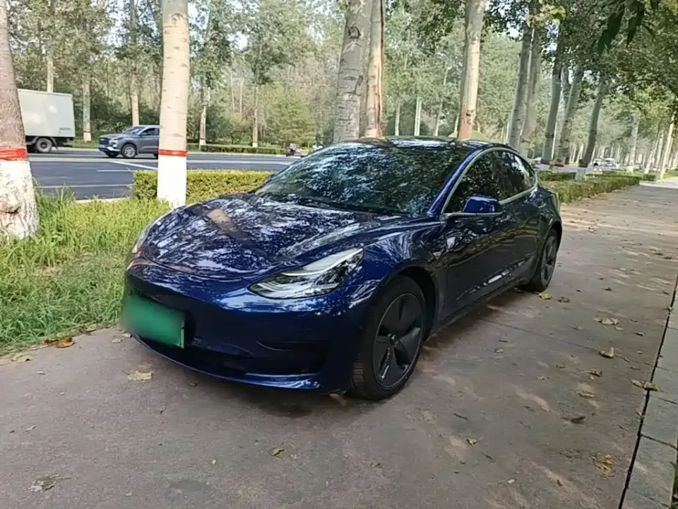 Tesla Model 3 (Import) Standard Range RWD Upgraded Edition 2020