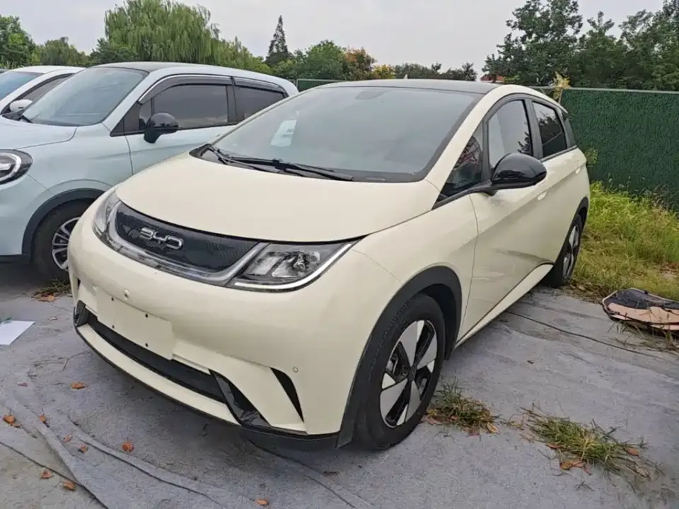 BYD Dolphin 420km Fashion Edition 2023