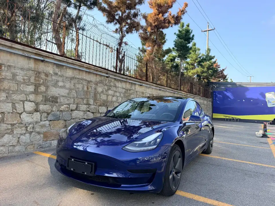 Tesla Model 3 Standard Range Rear-Wheel Drive Upgrade 2020
